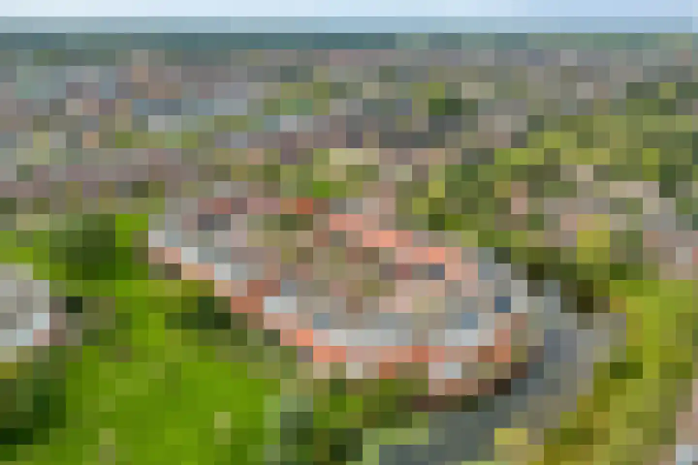 Aardbeihof 1 Assen thumbnail 46