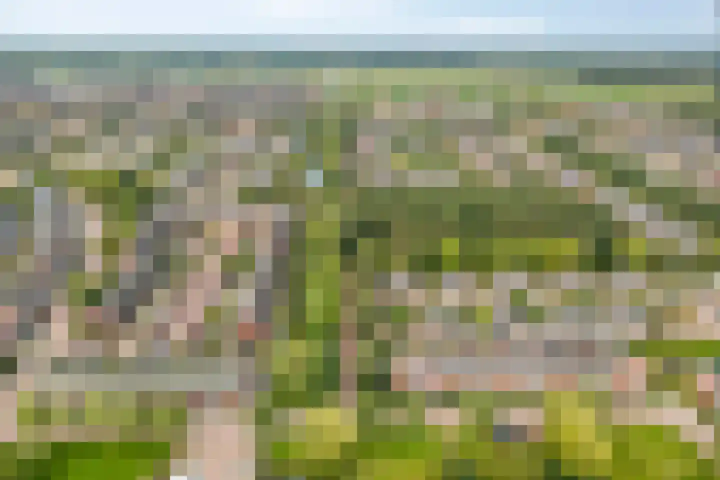 Aardbeihof 1 Assen thumbnail 47