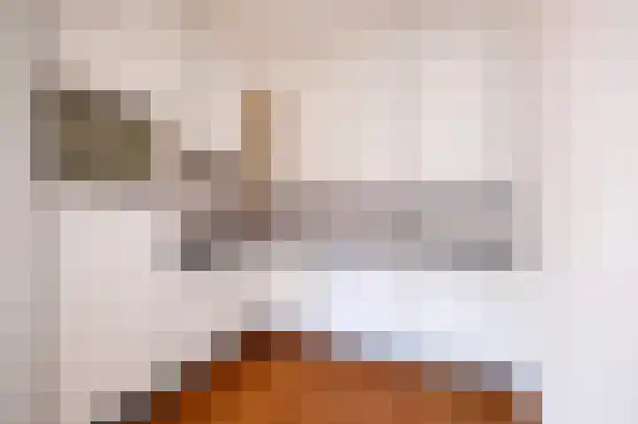 Aardbeihof 9 Assen thumbnail 27