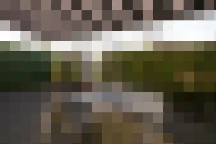 Aardbeihof 9 Assen thumbnail 50