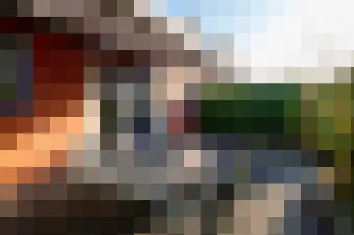 Aardbeihof 9 Assen thumbnail 51