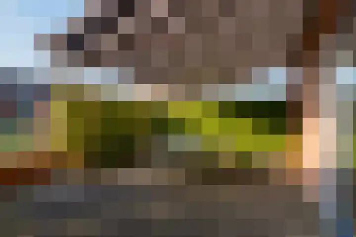 Aardbeihof 9 Assen thumbnail 54