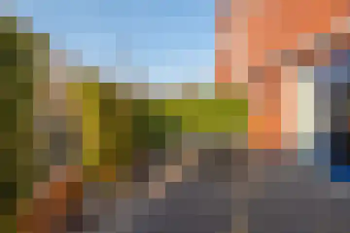 Aardbeihof 9 Assen thumbnail 56