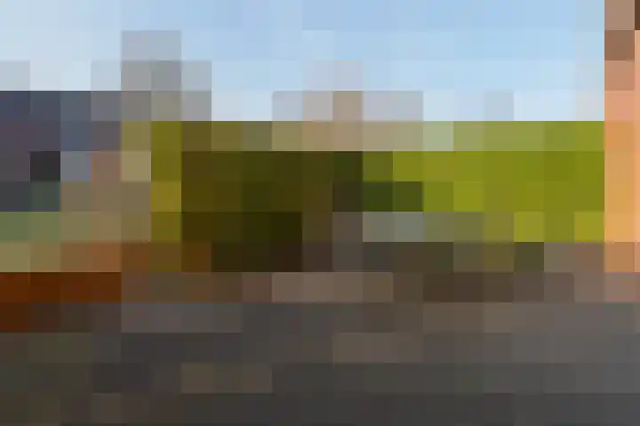 Aardbeihof 9 Assen thumbnail 57