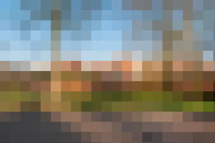 Aardbeihof 9 Assen thumbnail 59