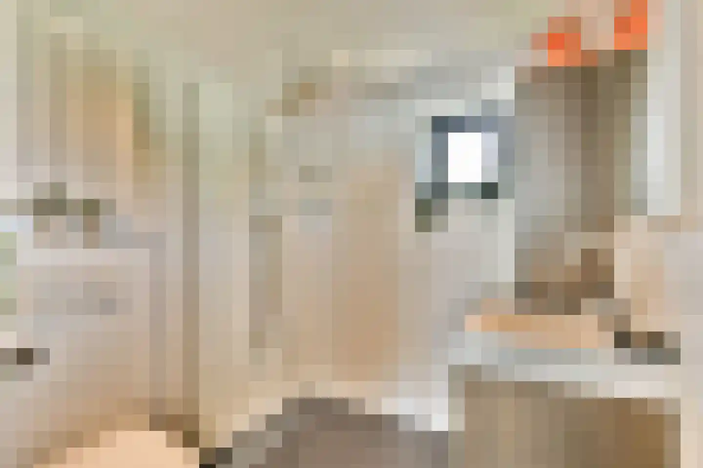 Aardbeistraat 3 Amsterdam thumbnail 23
