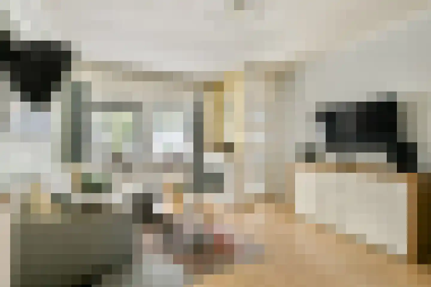 Aardbeistraat 3 Amsterdam thumbnail 6