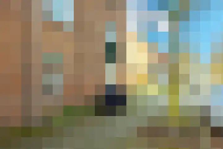 Aardbeistraat 47 Utrecht thumbnail 31