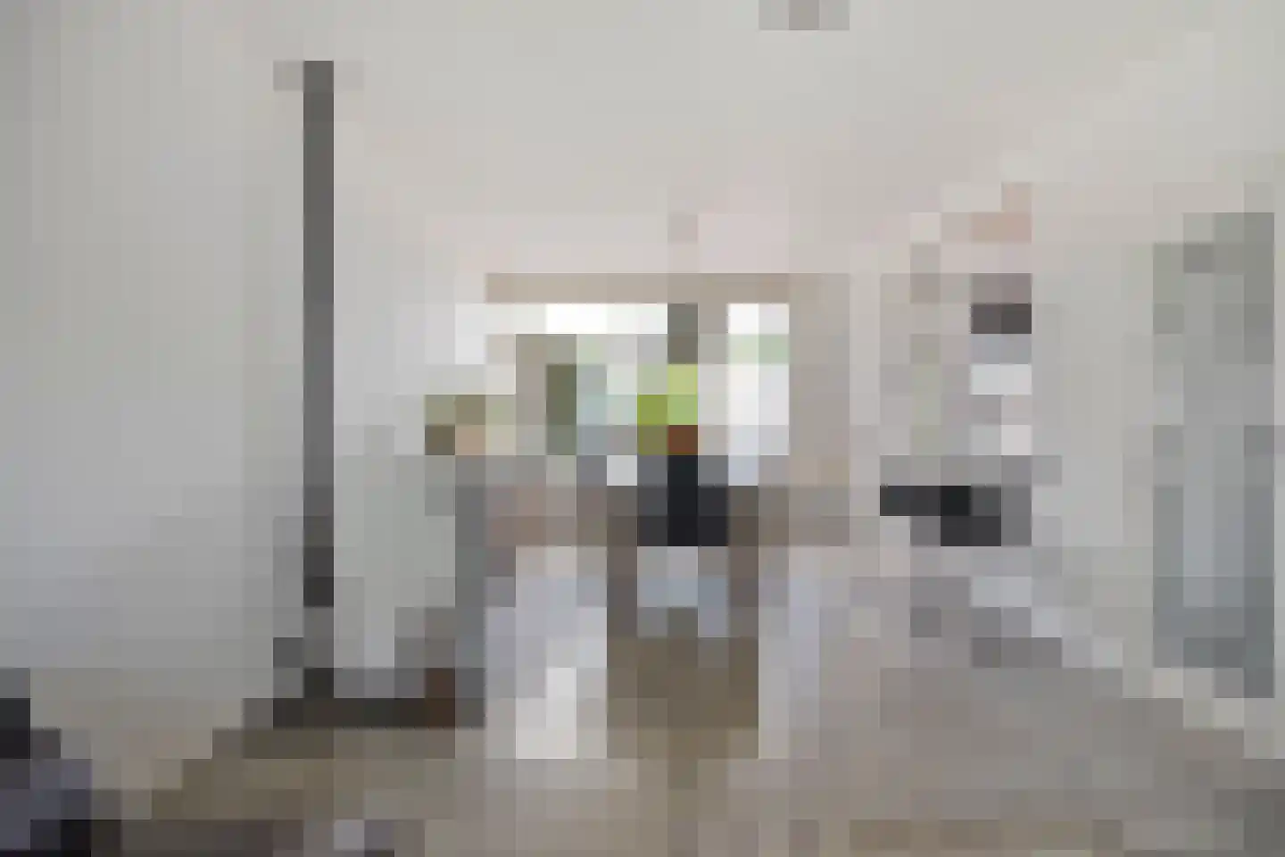 Aardbeistraat 9 Eindhoven thumbnail 12