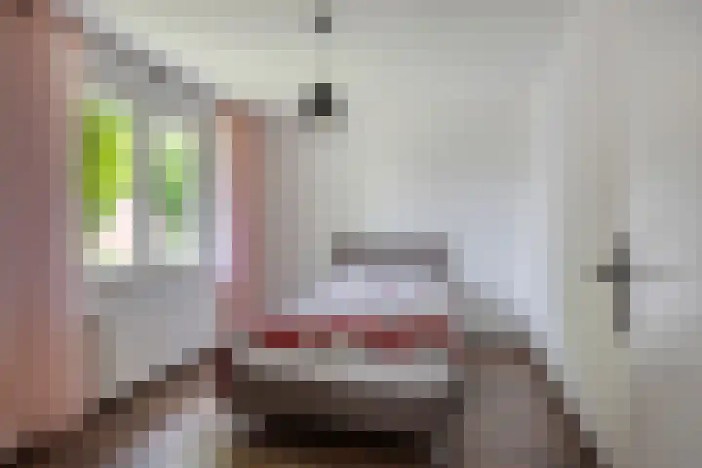 Aardbeistraat 9 Eindhoven thumbnail 23