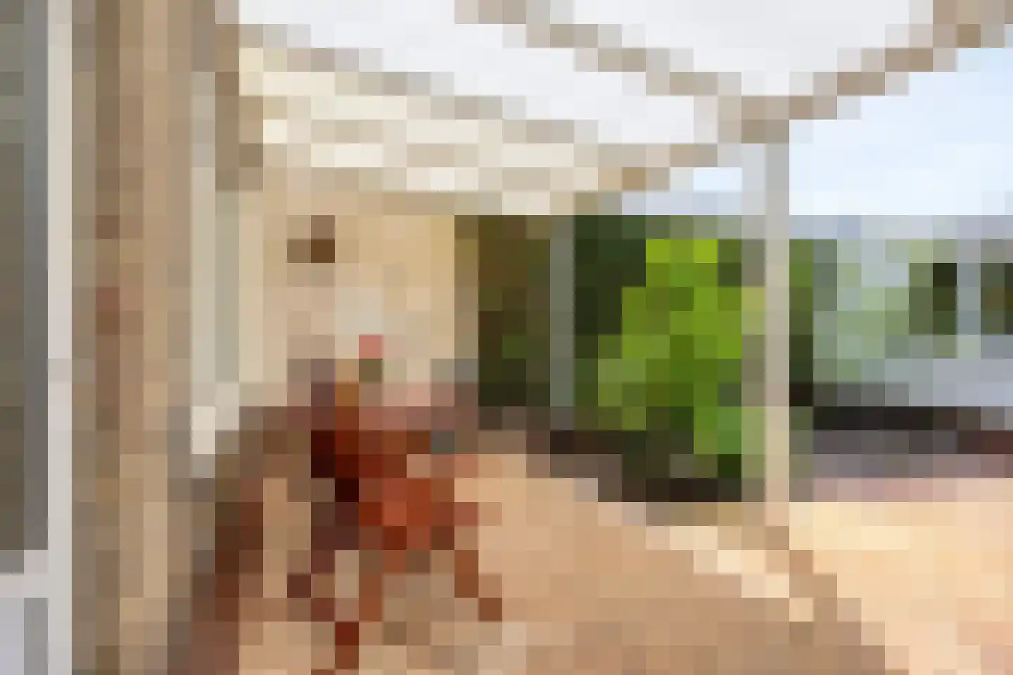 Aardbeistraat 9 Eindhoven thumbnail 34