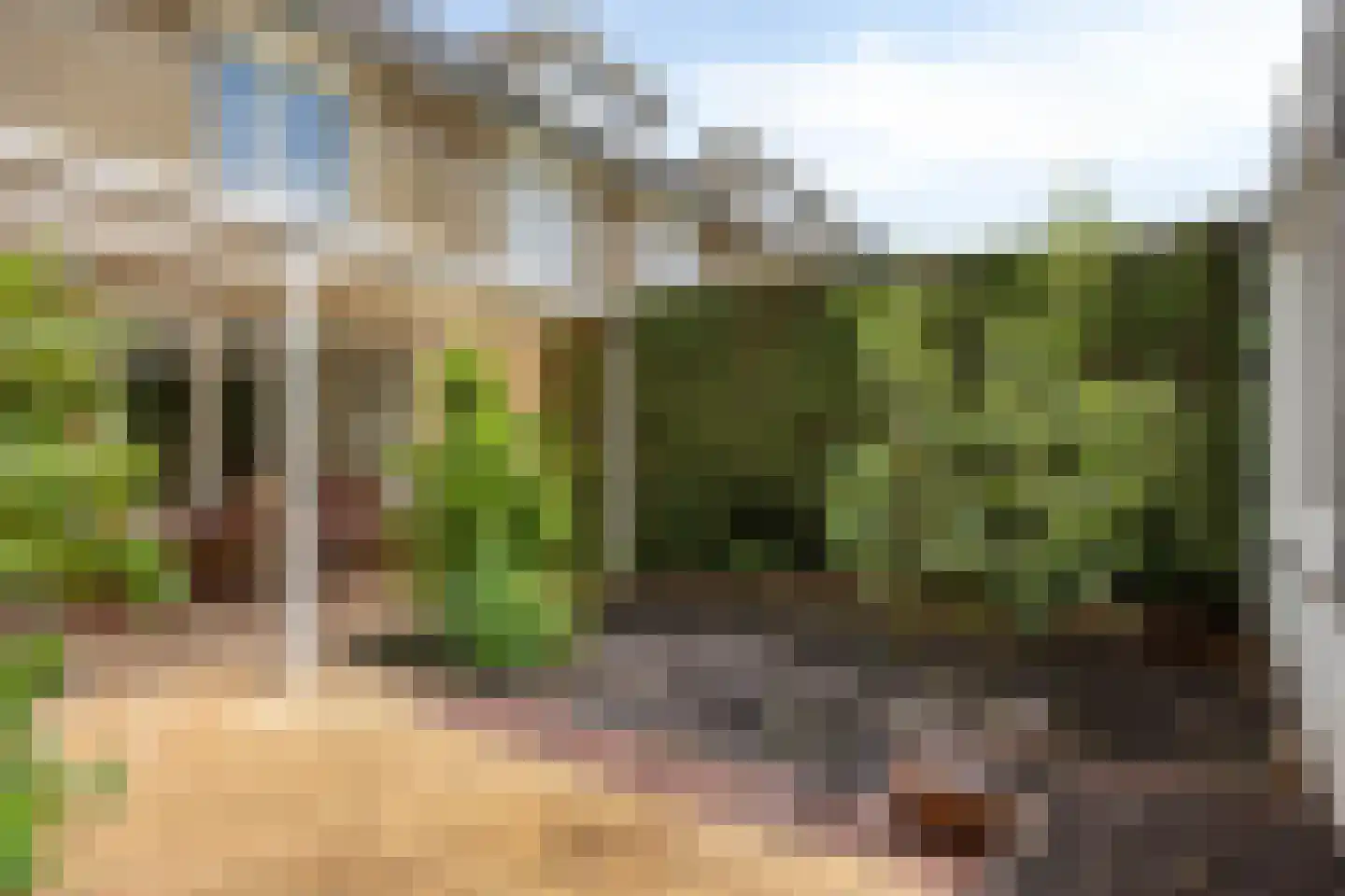 Aardbeistraat 9 Eindhoven thumbnail 39
