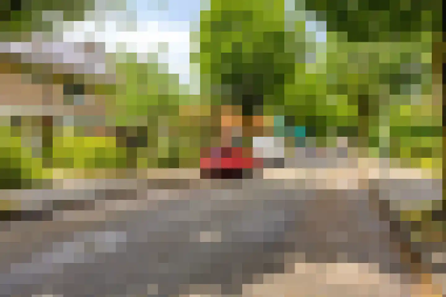 Aardbeistraat 9 Eindhoven thumbnail 5