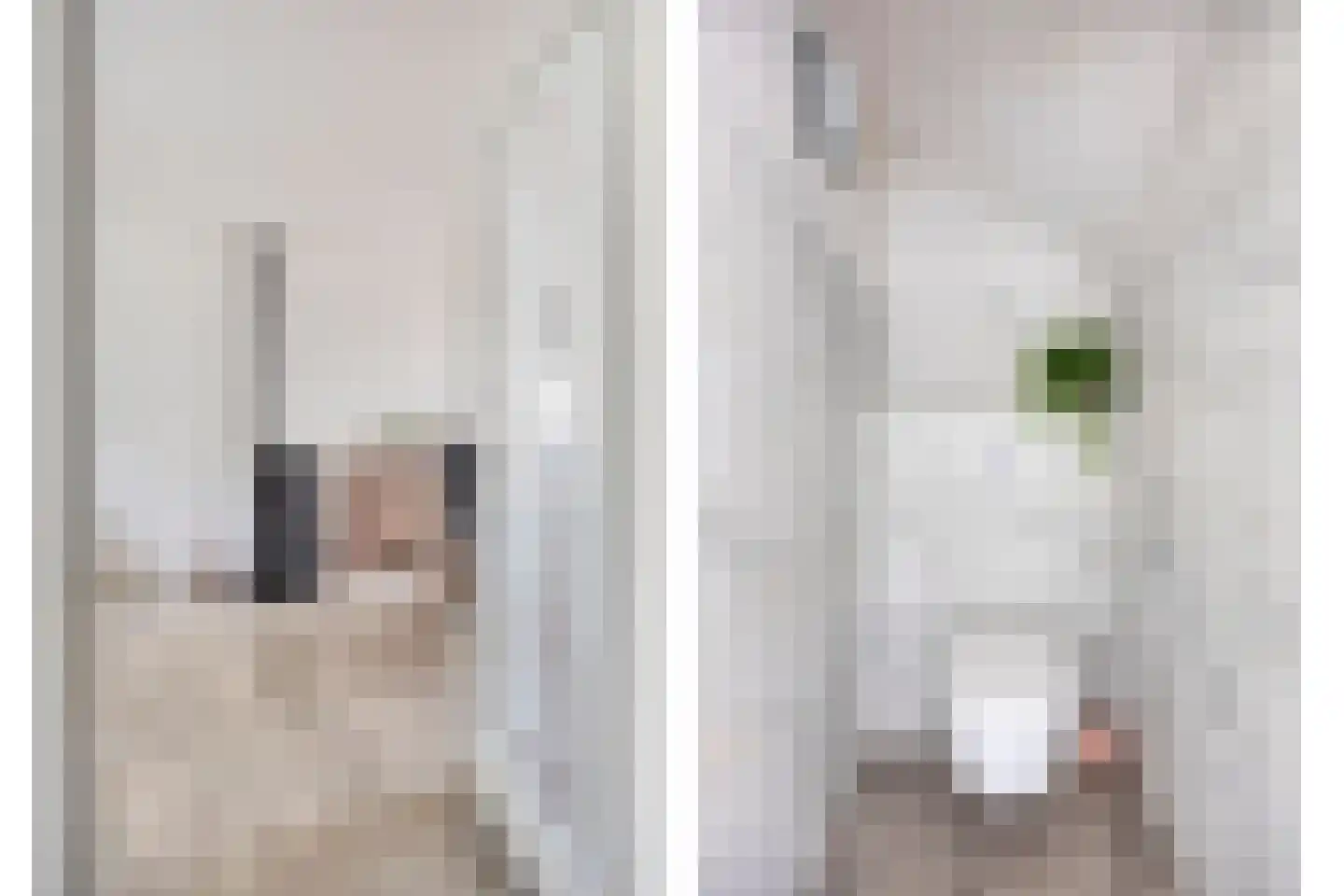 Aardbeistraat 9 Eindhoven thumbnail 7
