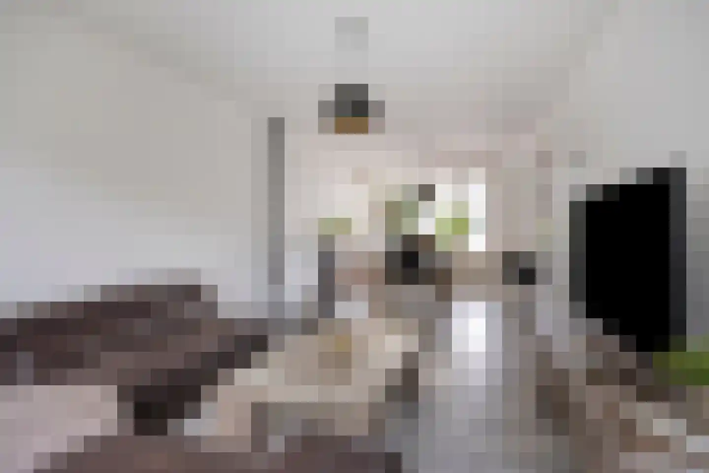 Aardbeistraat 9 Eindhoven thumbnail 8