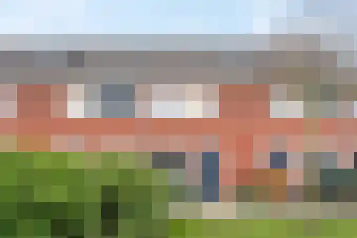 Aardbeivlinder 104 in Tiel