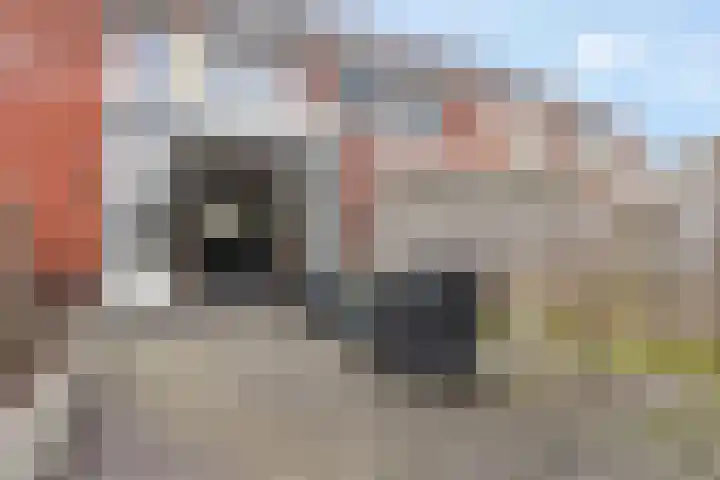 Aardbeivlinder 104 Tiel thumbnail 14