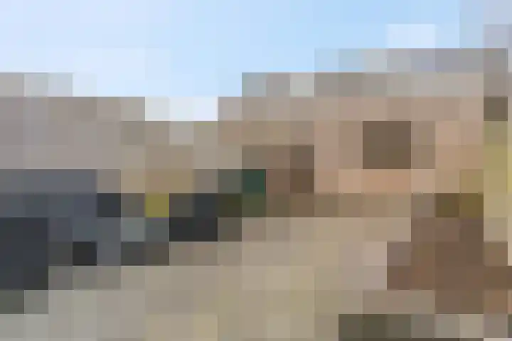 Aardbeivlinder 104 Tiel thumbnail 16