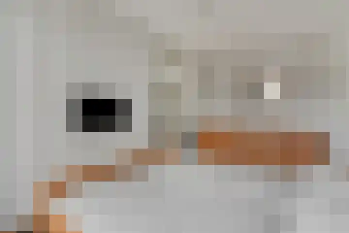 Aardbeivlinder 104 Tiel thumbnail 19
