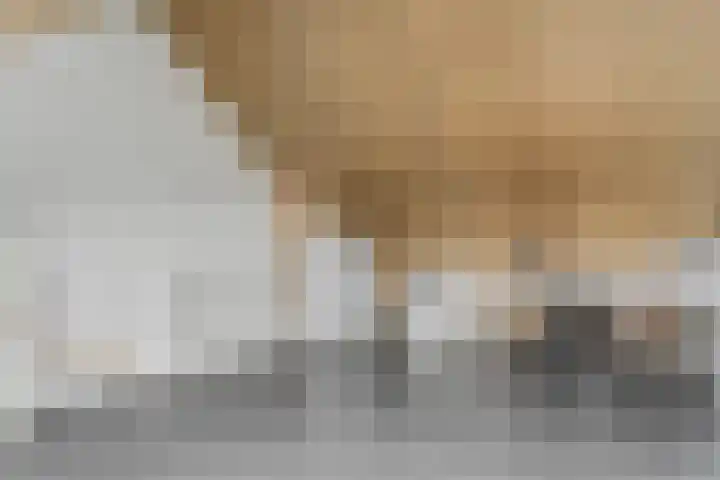 Aardbeivlinder 104 Tiel thumbnail 27