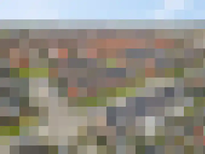 Aardbeivlinder 104 Tiel thumbnail 29