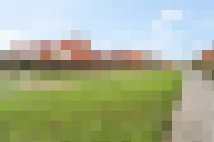 Aardbeivlinder 104 Tiel thumbnail 30