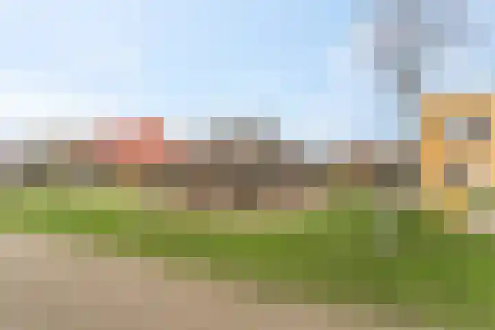 Aardbeivlinder 104 Tiel thumbnail 31