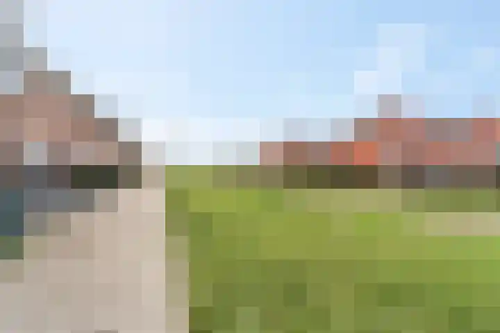 Aardbeivlinder 104 Tiel thumbnail 4
