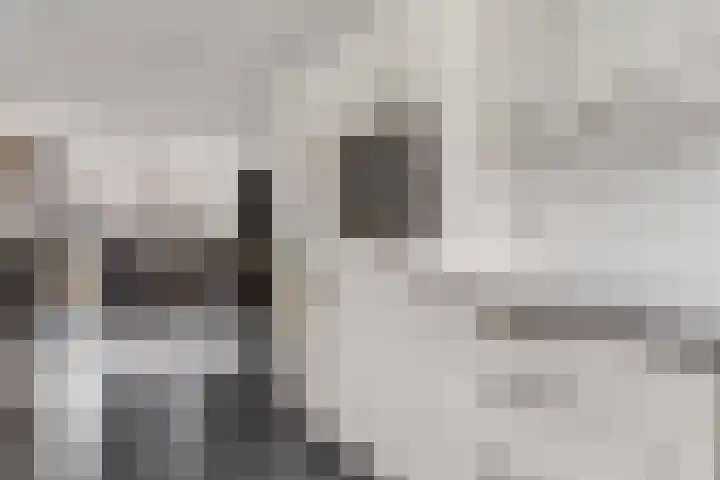 Aardbeivlinder 104 Tiel thumbnail 8