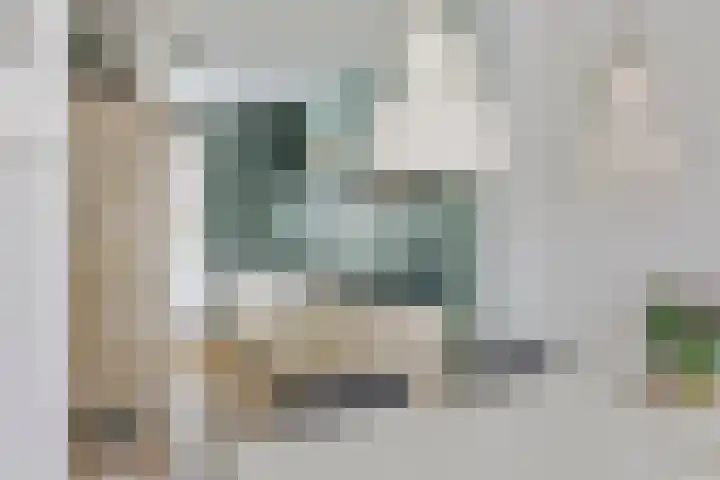Aardbeivlinder 112 Tiel thumbnail 10