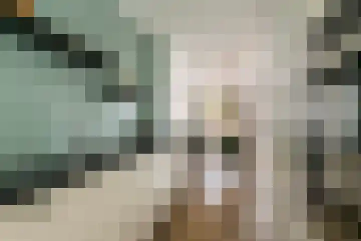 Aardbeivlinder 112 Tiel thumbnail 12