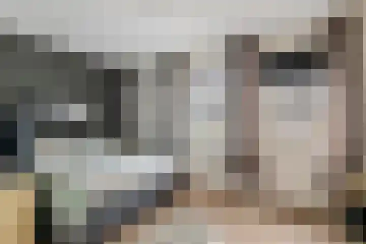 Aardbeivlinder 112 Tiel thumbnail 16