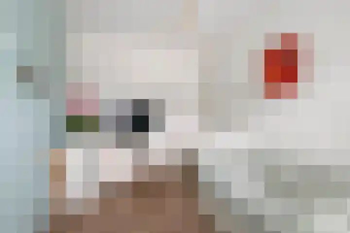 Aardbeivlinder 112 Tiel thumbnail 18