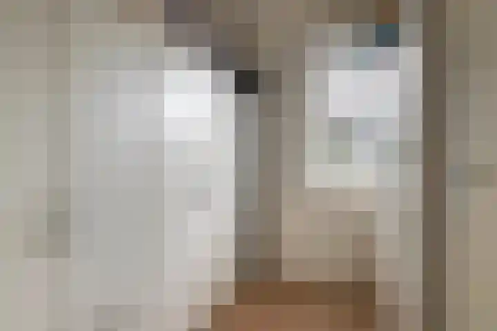 Aardbeivlinder 112 Tiel thumbnail 19