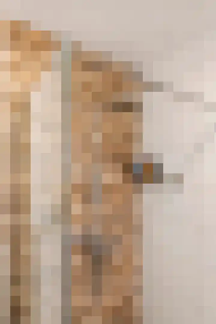 Aardbeivlinder 112 Tiel thumbnail 22