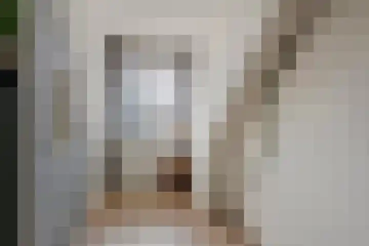 Aardbeivlinder 112 Tiel thumbnail 25