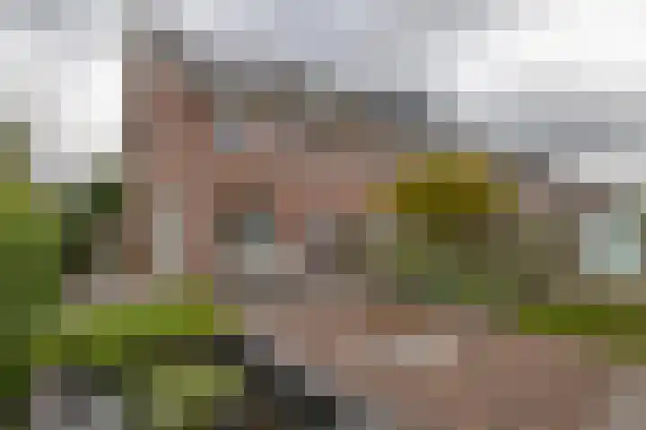 Aardbeivlinder 112 Tiel thumbnail 26