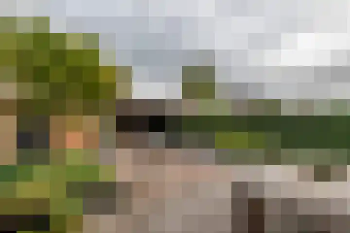 Aardbeivlinder 112 Tiel thumbnail 27