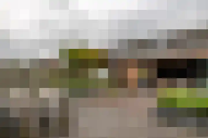 Aardbeivlinder 112 Tiel thumbnail 28