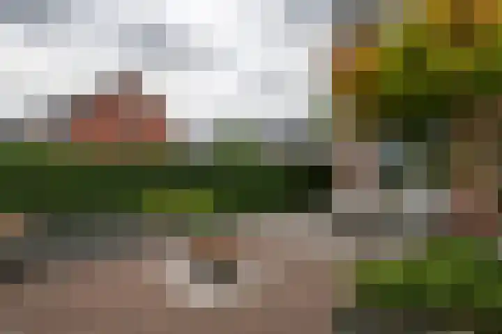 Aardbeivlinder 112 Tiel thumbnail 29
