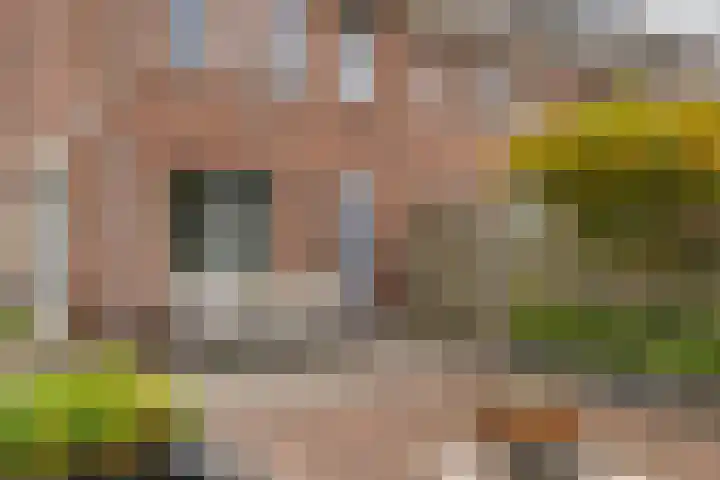 Aardbeivlinder 112 Tiel thumbnail 30