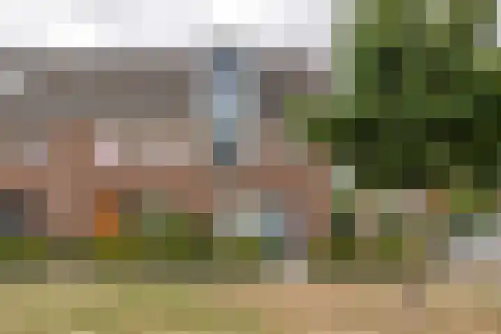 Aardbeivlinder 112 Tiel thumbnail 4