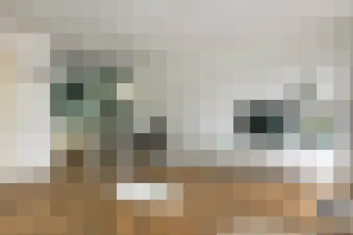 Aardbeivlinder 112 Tiel thumbnail 8