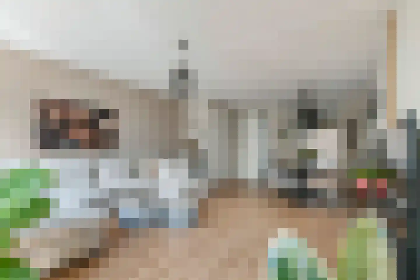 Aardbeivlinder 124 Tiel thumbnail 10