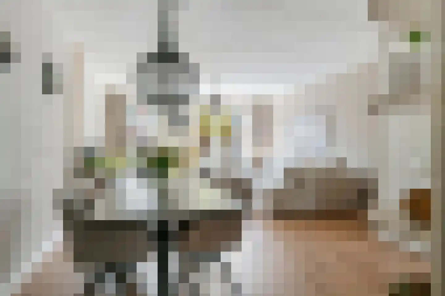 Aardbeivlinder 124 Tiel thumbnail 13