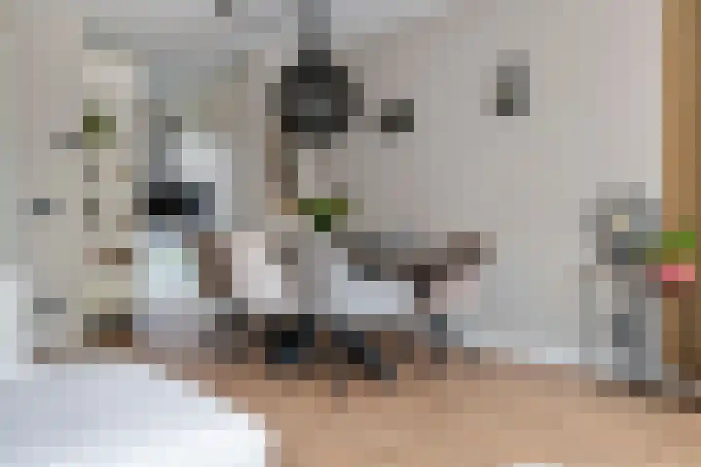 Aardbeivlinder 124 Tiel thumbnail 15