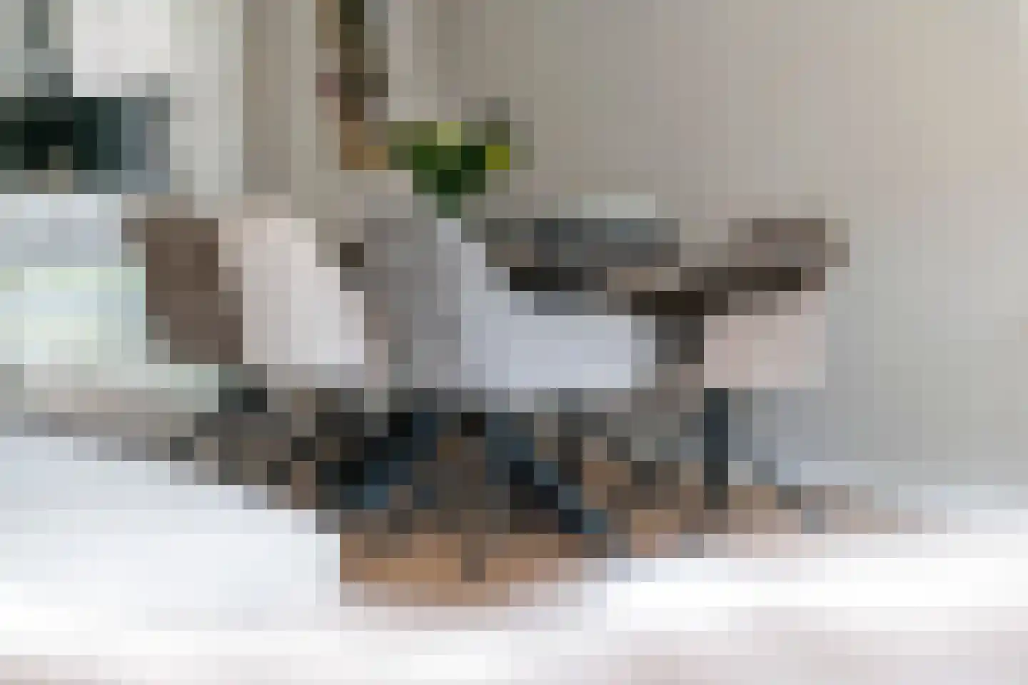 Aardbeivlinder 124 Tiel thumbnail 16