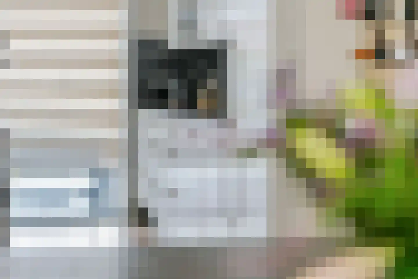 Aardbeivlinder 124 Tiel thumbnail 18