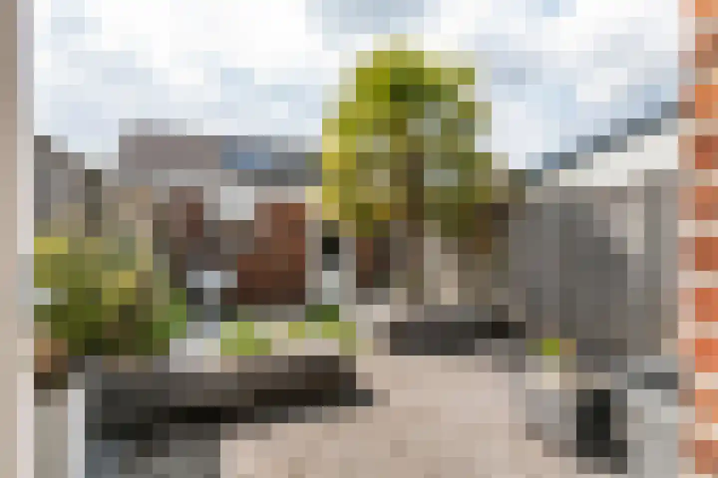 Aardbeivlinder 124 Tiel thumbnail 23