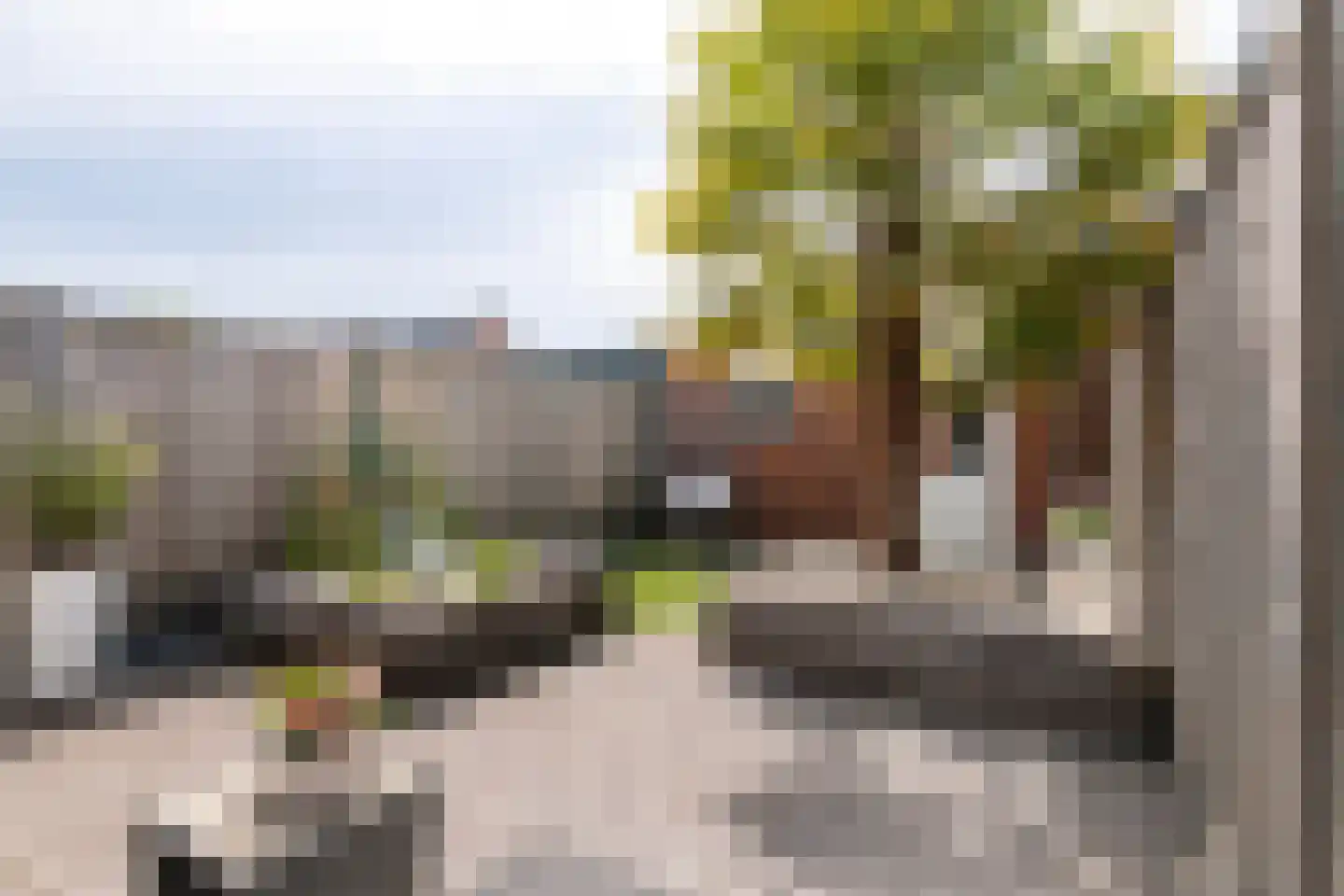Aardbeivlinder 124 Tiel thumbnail 24